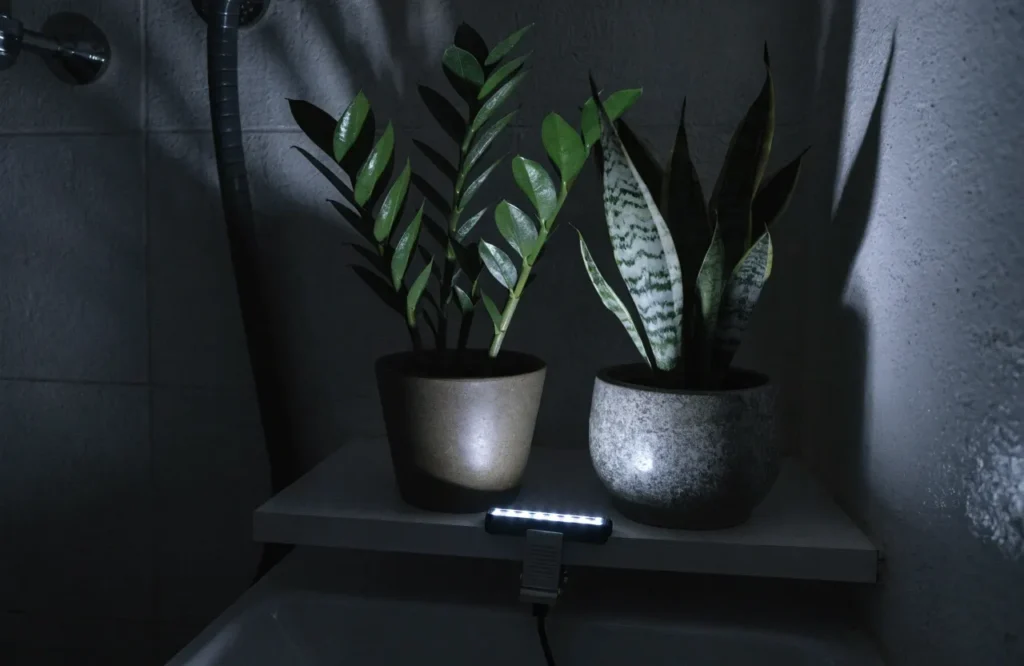 Low Light Bathroom Plants: 12 Best Picks + Complete Care Guide 3 LED grow light illuminating a ZZ plant and snake plant in a windowless bathroom.