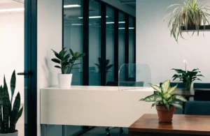 10 Best Low-Light Office Plants That Thrive in Dim Workspaces 4 Different low-light plants placed in office spaces including desks, shelves and corners