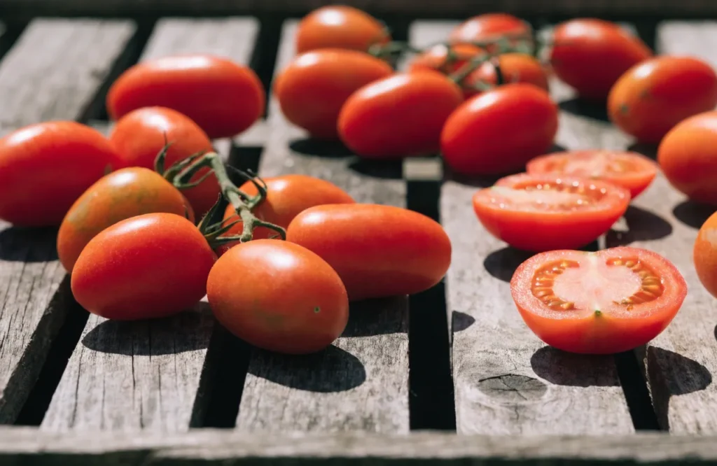 Small meaty tomatoes prepared for sun drying and dehydration
