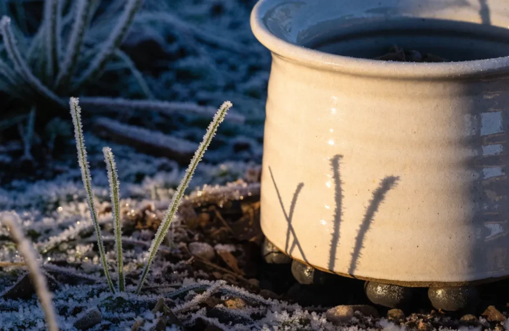 Container raised on pot feet to protect against winter freezing